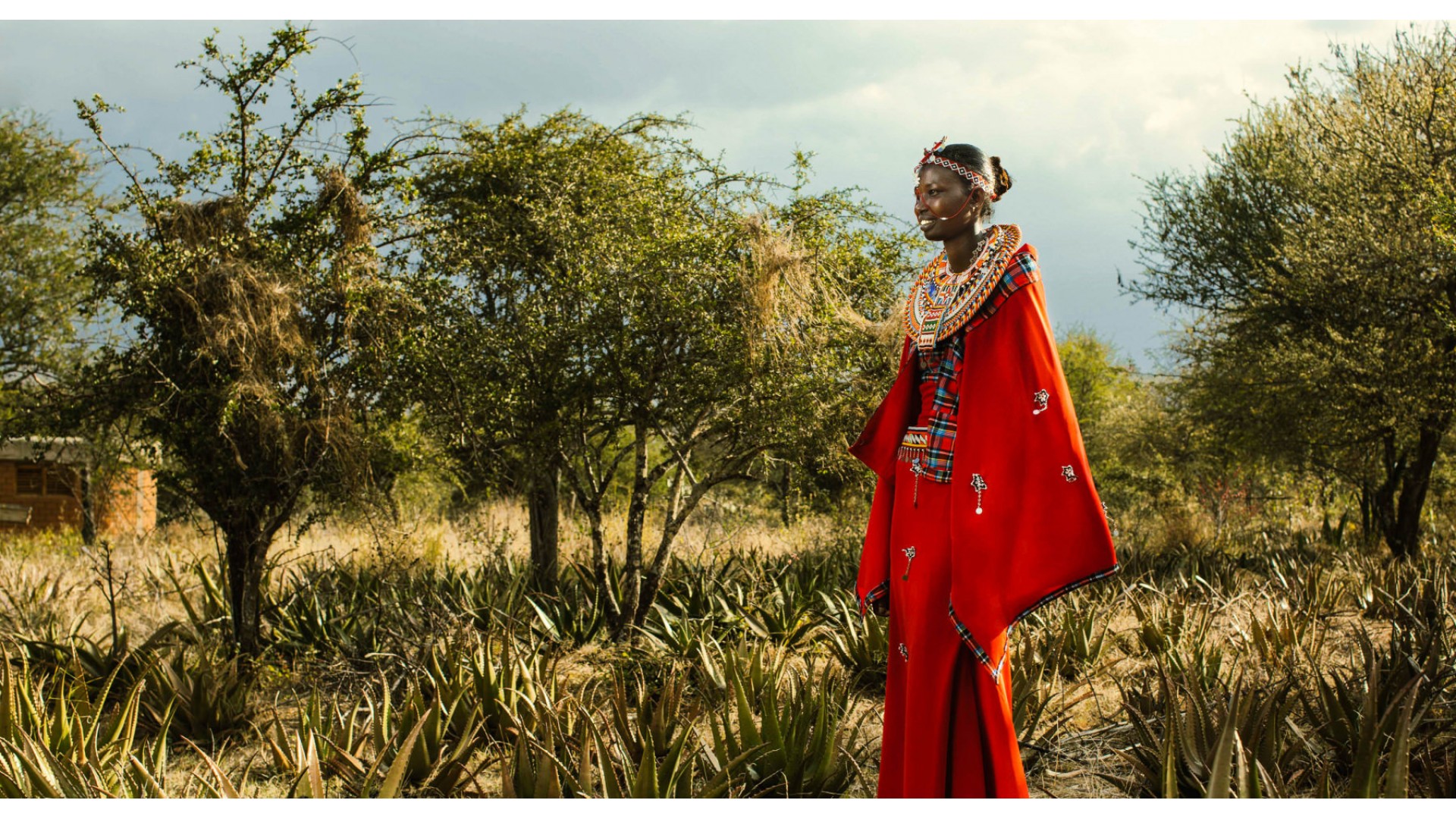 Priča o aloi: kako žene plemena Maasai osnažuju djevojke