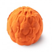 Flame-Flame Fruit