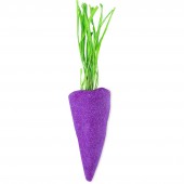 Baby Rainbow Carrot - Purple