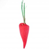 Baby Rainbow Carrot - Red