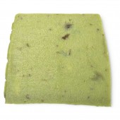 Olive Tree