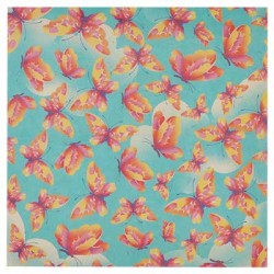 Chase The Butterflies