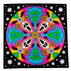 Cosmic Gathering