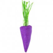 Baby Rainbow Carrot – Purple 